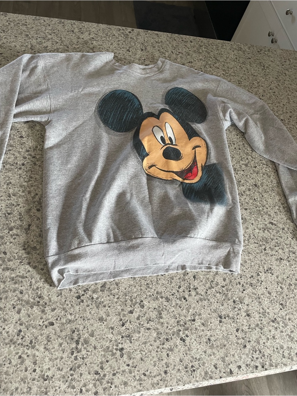 Disneyland Walt disney world x hanes 2 sided Mickey sketch graphic sweatshirt S